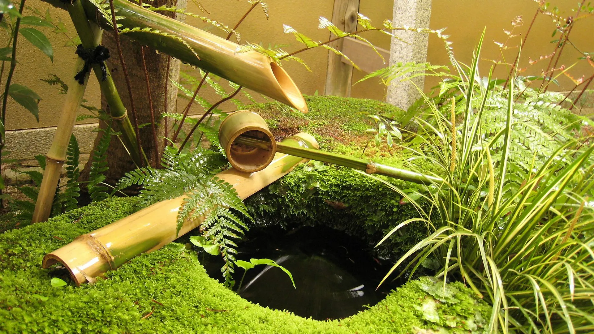 Kyoto Ryokan Sakanoue 5*,  Japan